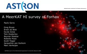 A MeerKAT HI survey of Fornax  Paolo Serra  Greg Bryan  Erwin de Blok  Gyula Jozsa  Tom Oosterloo
