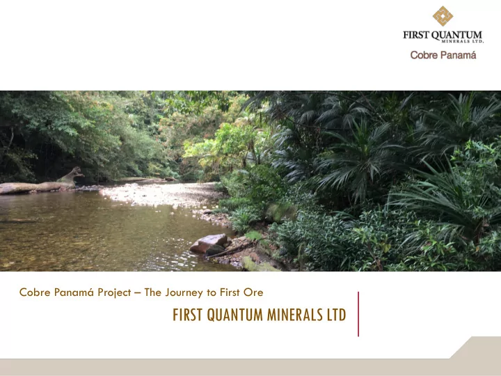 first quantum minerals ltd disclaimer