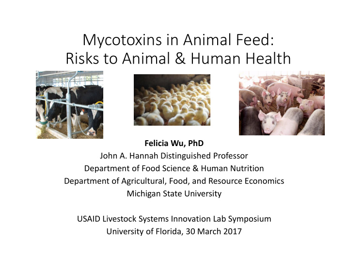 mycotoxins in animal feed risks to animal amp human health