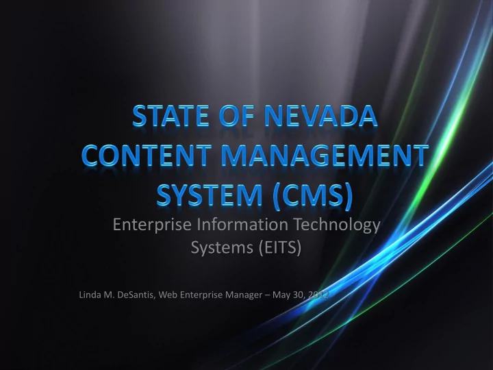 enterprise information technology systems eits