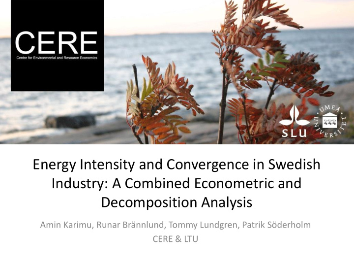 energy intensity and convergence in swedish