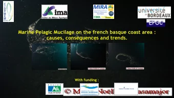 Marine Pelagic Mucilage on the french basque coast area :  causes, consequences and trends.  With