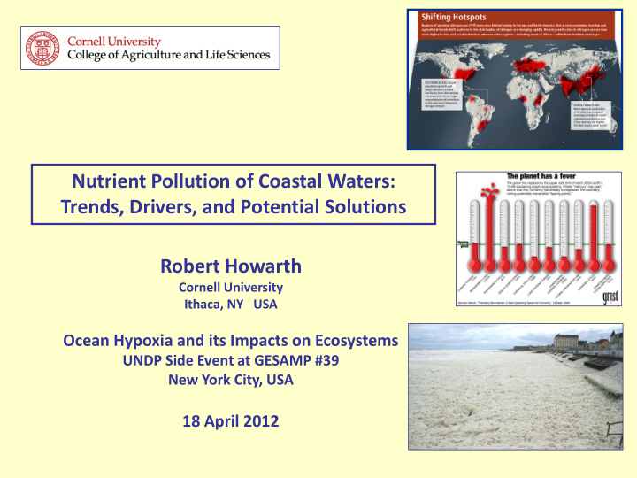 nutrient pollution of coastal waters trends drivers and