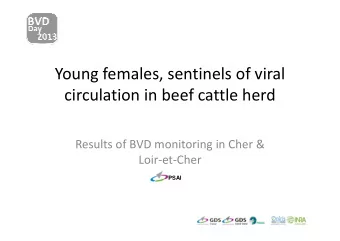 Young females, sentinels of viral  circulation in beef cattle herd  Results of BVD monitoring in