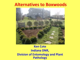 Alternatives to Boxwoods  Ken Cote  Indiana DNR,  Division of Entomology and Plant  Pathology