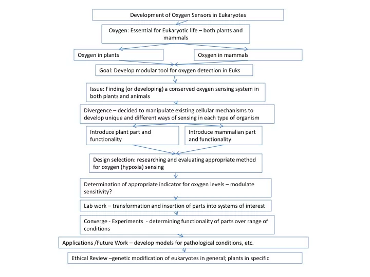 oxygen essential for eukaryotic life both plants and