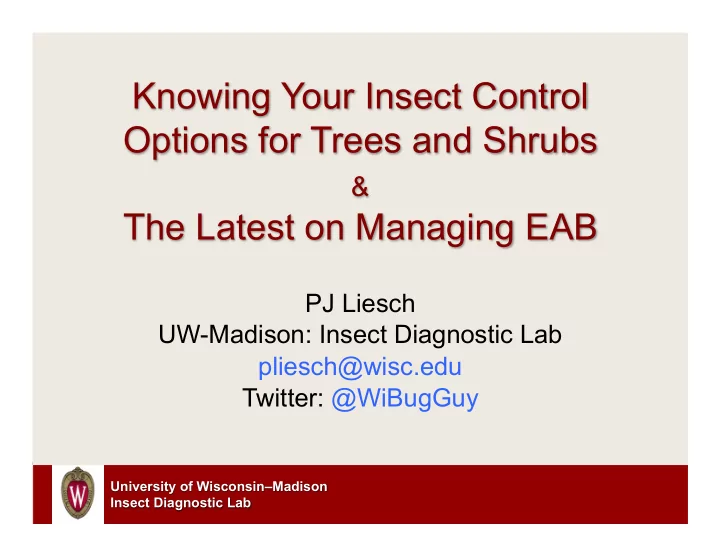 knowing your insect control options for trees and shrubs