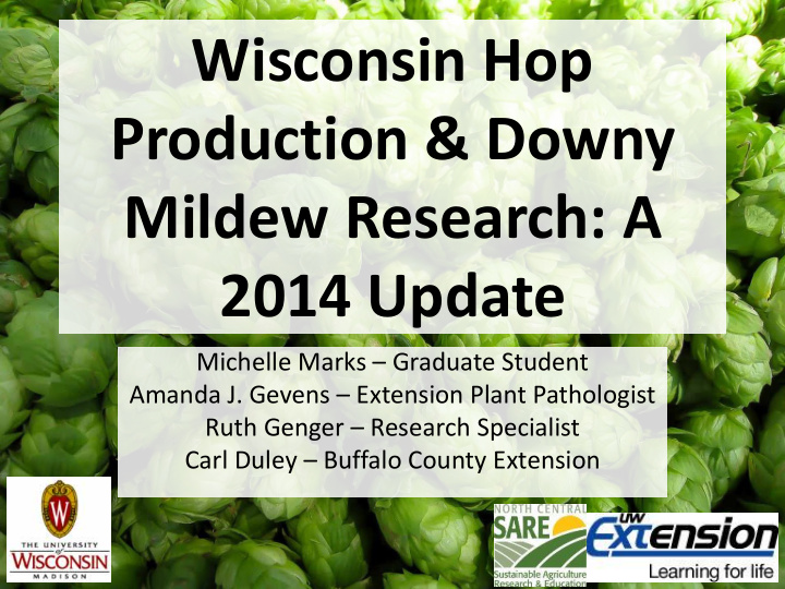 wisconsin hop production amp downy