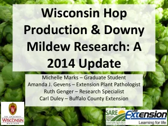 Wisconsin Hop  Production &amp; Downy  Mildew Research: A  2014 Update Michelle Marks  Graduate