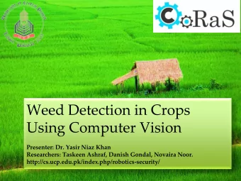 Weed Detection in Crops  Using Computer Vision  Presenter: Dr. Yasir Niaz Khan  Researchers: