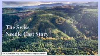 The Swiss  Needle Cast Story  Swiss Needle Cast Caused by Nothophaeocryptopus gaeumannii