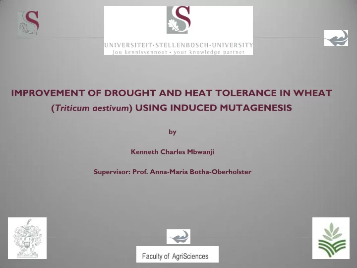improvement of drought and heat tolerance in wheat