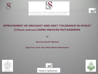 IMPROVEMENT OF DROUGHT AND HEAT TOLERANCE IN WHEAT ( Triticum aestivum ) USING INDUCED MUTAGENESIS