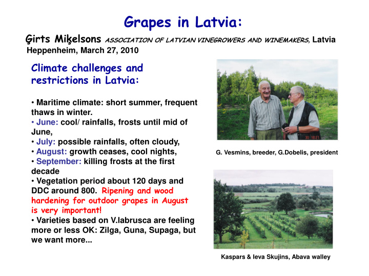 grapes in latvia