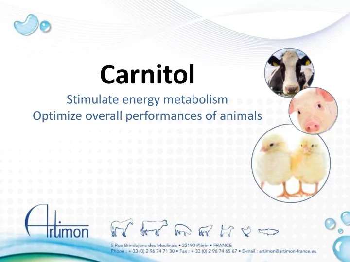 carnitol