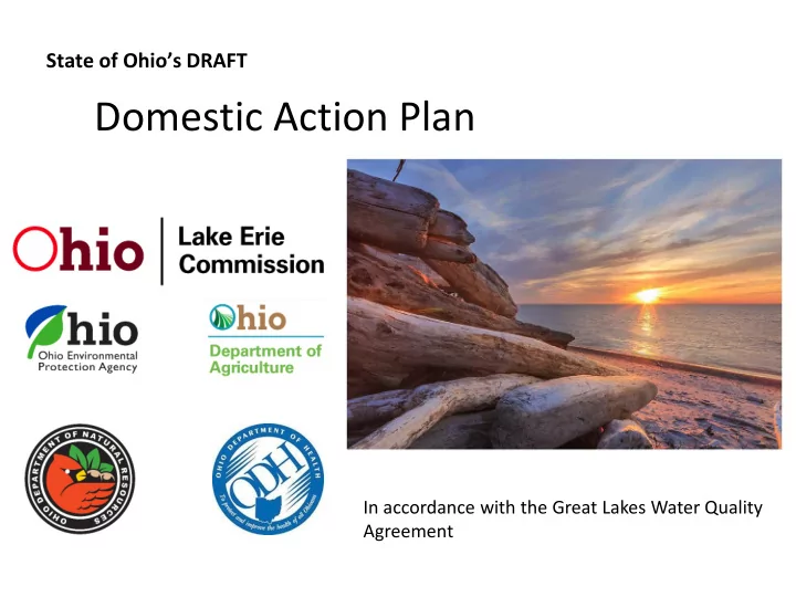 domestic action plan