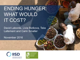 ENDING HUNGER:  WHAT WOULD  WHAT WOULD  IT COST?  IT COST?  David Laborde, Livia Bizikova, Tess