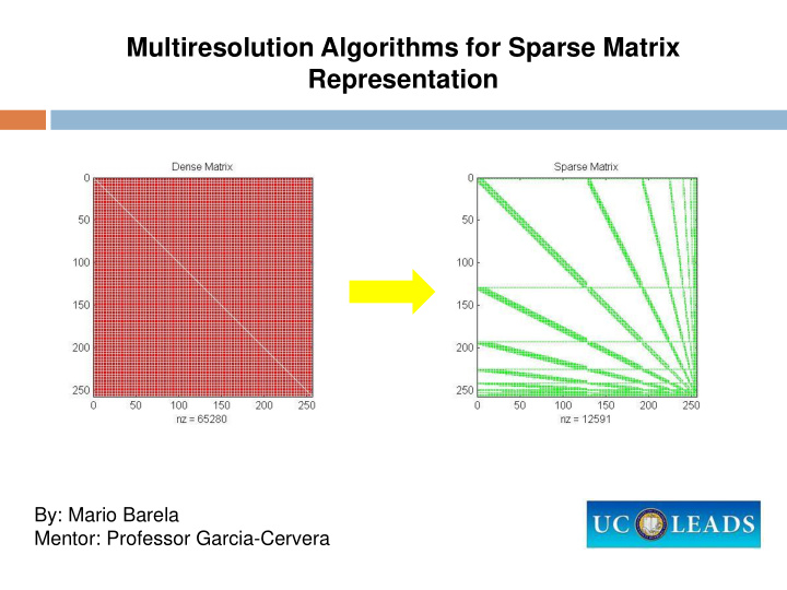 multiresolution algorithms for sparse matrix