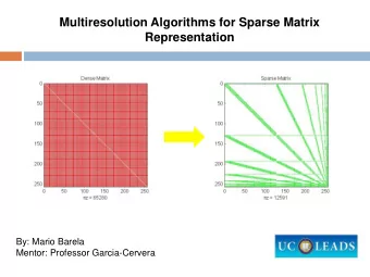 Multiresolution Algorithms for Sparse Matrix Representation  By: Mario Barela  Mentor: Professor