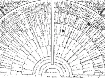 IMPLEMENTING A SURNAME-  STUDY WEBSITE WITH  DRUPAL  Denise Mortorf  Deg Valentine  Dr. Christophe