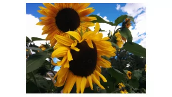 Data Vault  An in-depth look  Juraj Pivovarov  Background    Owner and Consultant at Metadata