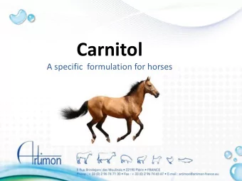 Carnitol  A specific  formulation for horses  Carnitol, a special formulation for horses  A unique