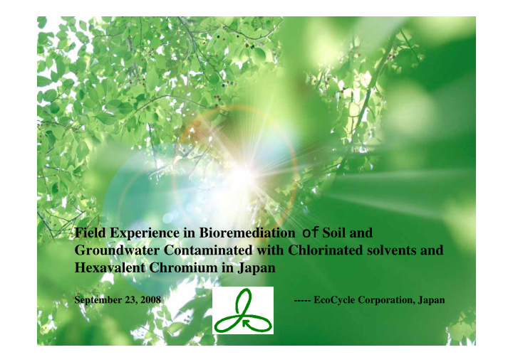 field experience in bioremediation soil and groundwater