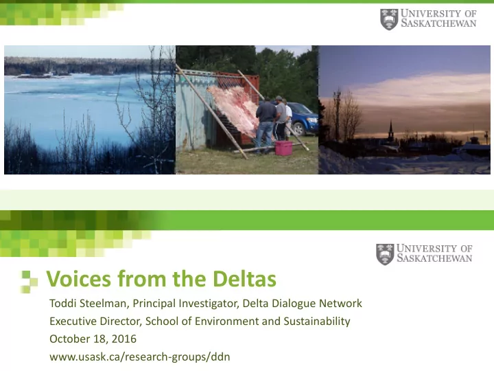 voices from the deltas