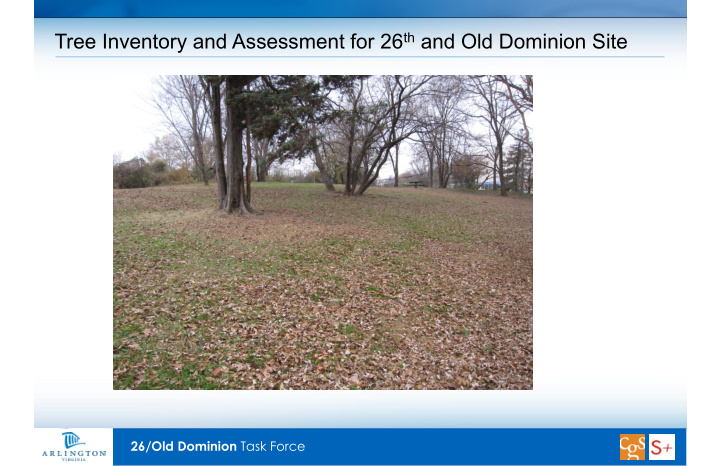 tree inventory and assessment for 26 th and old dominion