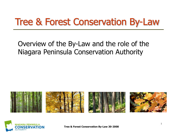 tree forest conservation by law