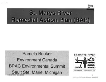 REMEDIAL ACTION PLAN  photo credit: John Marsden, Environment Canada, 2002  Summary P What's A RAP?