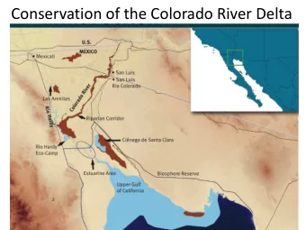 Conservation of the Colorado River Delta  Colorado River Delta  impact of a 100 years  of