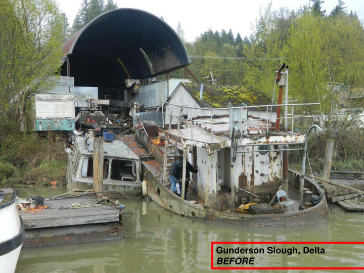 gunderson slough delta before