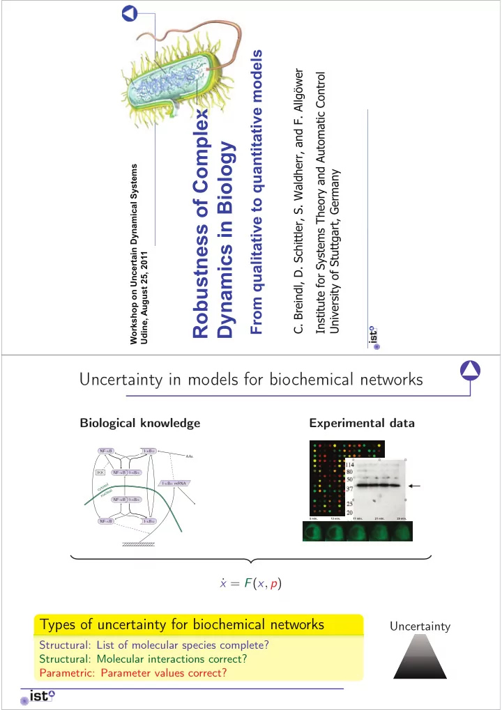 robustness of complex dynamics in biology