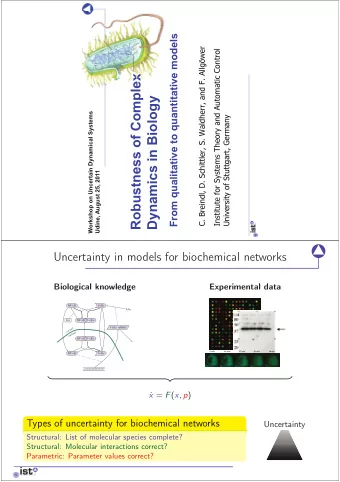 Robustness of Complex  Dynamics in Biology  Workshop on Uncertain Dynamical Systems  University of