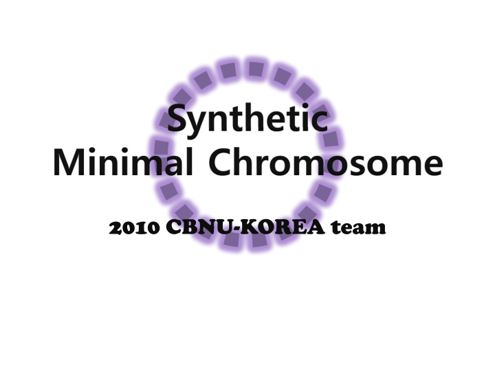 synthetic minimal chromosome