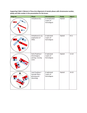 Supporting Table 3. Meiosis in Three Acts-Alignment of meiotic phases with chromosome number,