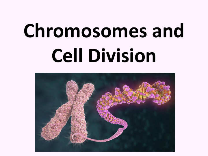 chromosomes and