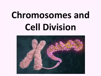 Chromosomes and  Cell Division  Chromatin and Chromosomes  Chromosome Terms  chromatid