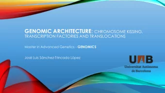 INTRODUCTION  The cell nucleus is not randomly organized  Individual chromosomes occupy distinct