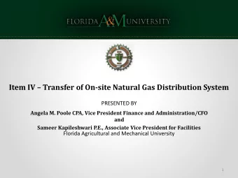 Item IV  Transfer of On-site Natural Gas Distribution System  PRESENTED BY  Angela M. Poole CPA,