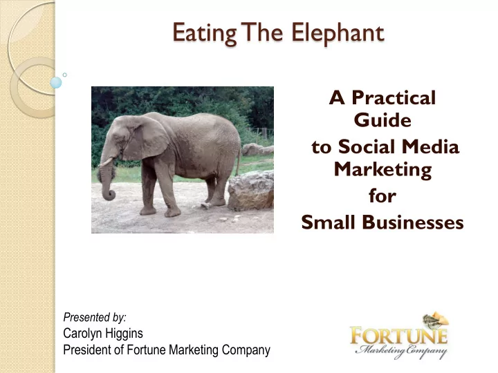 eating the elephant