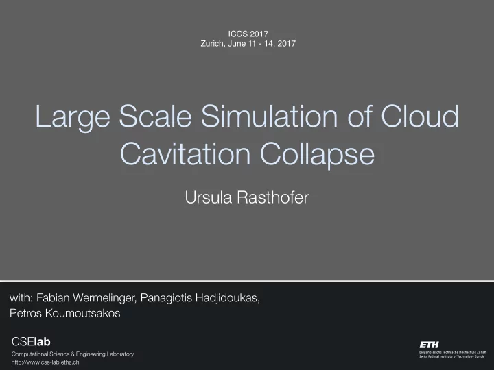 large scale simulation of cloud cavitation collapse