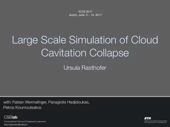 Large Scale Simulation of Cloud  Cavitation Collapse  Ursula Rasthofer  with: Fabian Wermelinger,