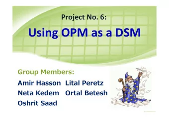Using OPM as a DSM  Group Members:  Amir Hasson Lital Peretz  Neta Kedem  Ortal Betesh  Oshrit Saad