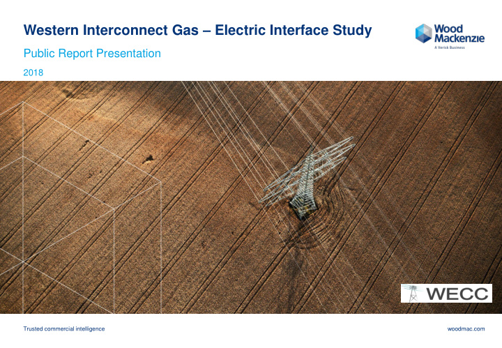 western interconnect gas electric interface study