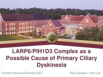 LARP6/PIH1D3 Complex as a  Possible Cause of Primary Ciliary  Dyskinesia Summer Research Fellowship