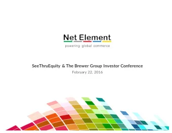 SeeThruEquity &amp; The Brewer Group Investor Conference  February 22, 2016 Net Element |