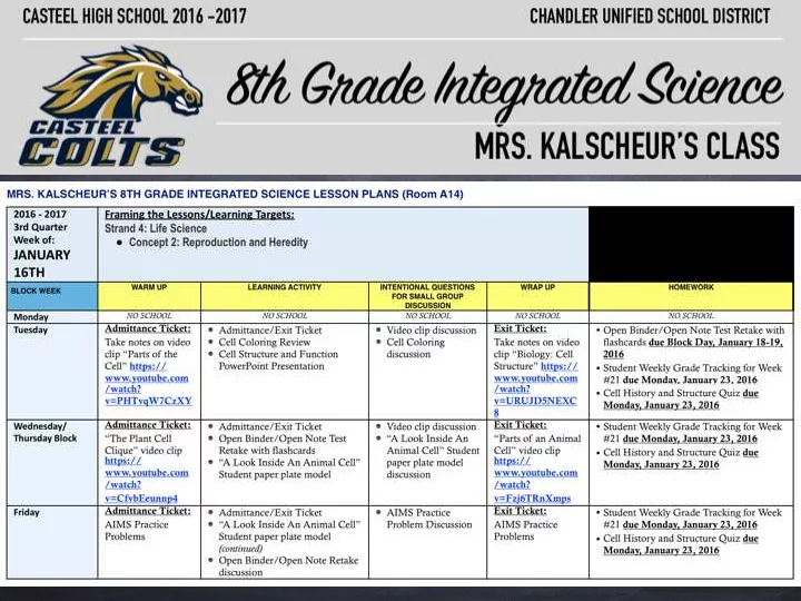 cell history and structure quiz on block day january 18