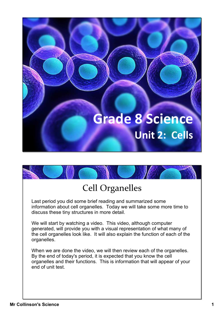 grade 8 science